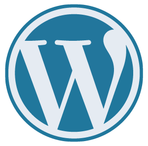 6axism WordPress Services
